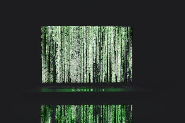 Algorithm Engineer